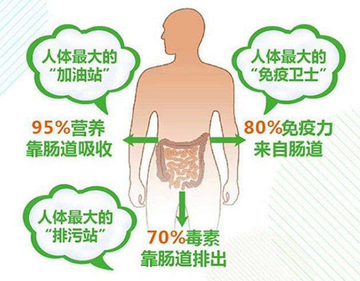 十大人群”要注意補充益生菌